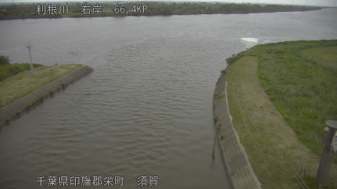 tonsu2026052319_image