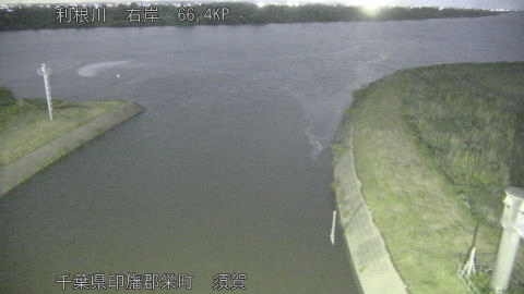 tonsu2026052320_image