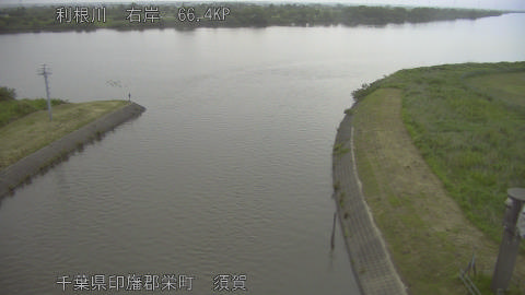 tonsu2026052405_image