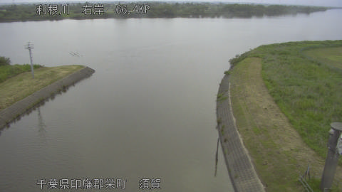 tonsu2026052406_image