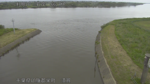 tonsu2026052408_image