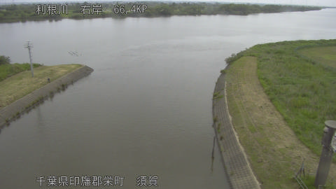 tonsu2026052409_image