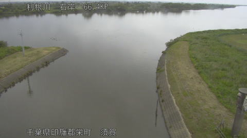tonsu2026052410_image