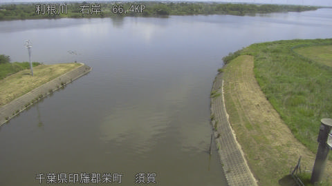 tonsu2026052411_image