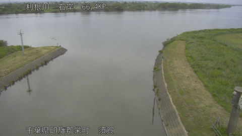 tonsu2026052413_image