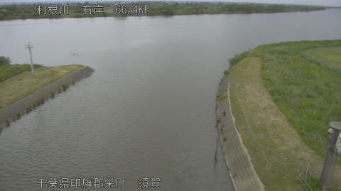 tonsu2026052414_image