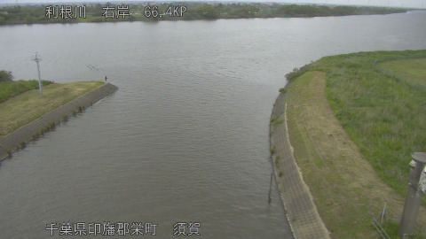 tonsu2026052415_image