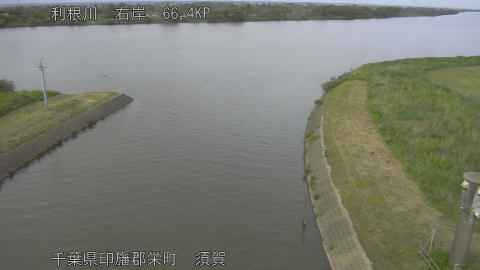 tonsu2026052416_image