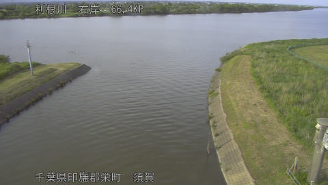 tonsu2026052417_image