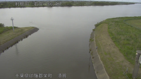 tonsu2026052418_image