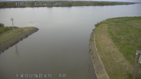 tonsu2026052419_image