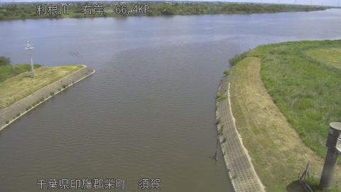 tonsu2026052511_image