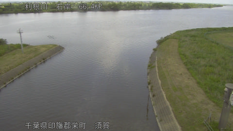 tonsu2026052512_image
