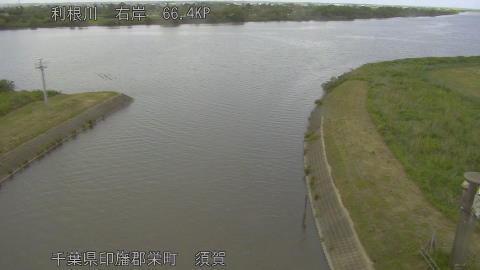 tonsu2026052513_image