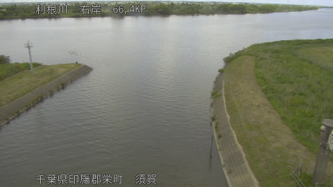 tonsu2026052514_image