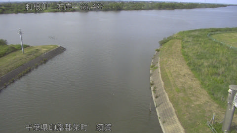 tonsu2026052516_image
