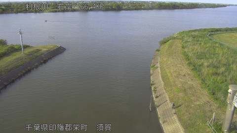 tonsu2026052517_image
