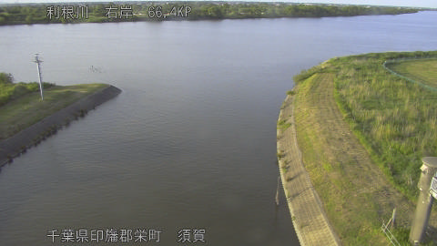 tonsu2026052518_image