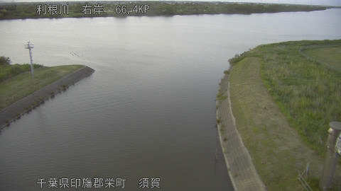 tonsu2026052519_image
