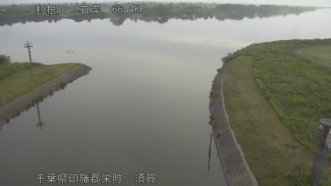 tonsu2026052606_image