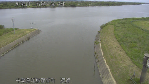 tonsu2026052611_image