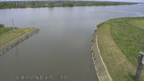 tonsu2026052612_image