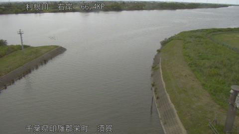tonsu2026052615_image