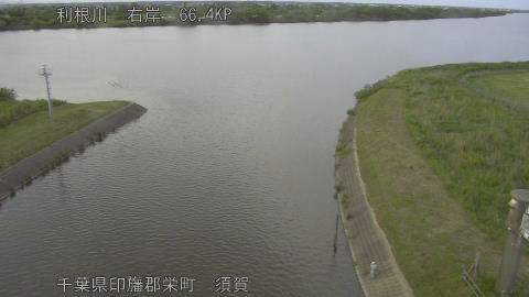 tonsu2026052618_image