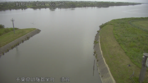 tonsu2026052705_image