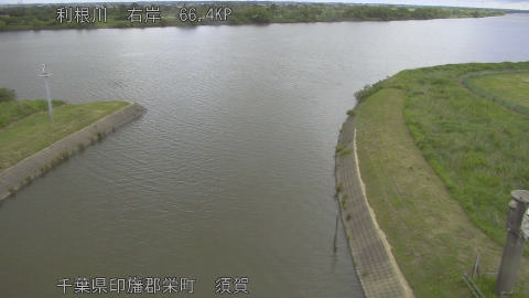 tonsu2026052710_image