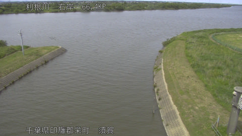 tonsu2026052714_image