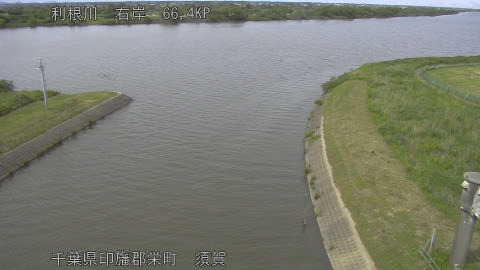tonsu2026052715_image