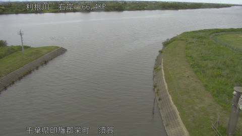 tonsu2026052716_image