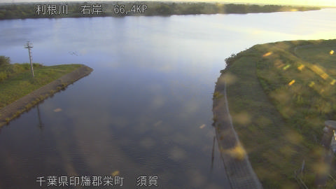 tonsu2026052805_image