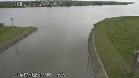 tonsu2026052808_image