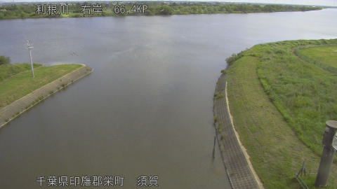 tonsu2026052809_image