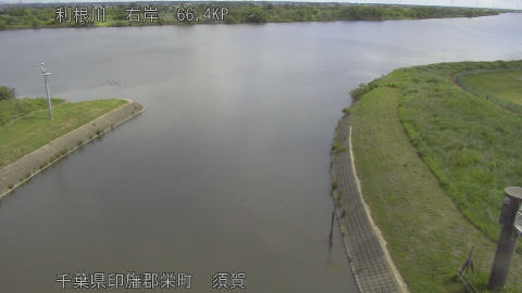 tonsu2026052810_image