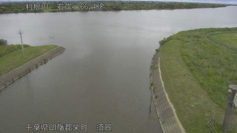 tonsu2026052811_image