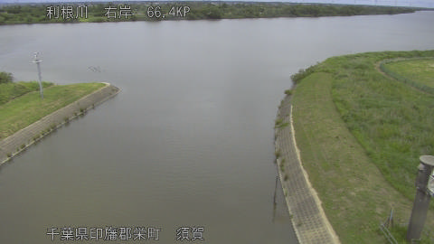 tonsu2026052812_image