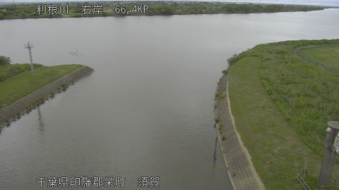 tonsu2026052814_image