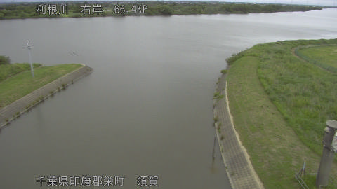 tonsu2026052817_image
