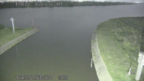 tonsu2026052821_image