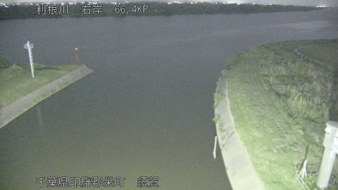 tonsu2026052822_image