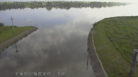 tonsu2026052908_image