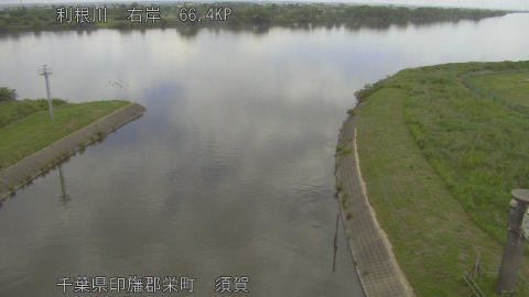 tonsu2026052910_image