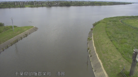 tonsu2026052911_image