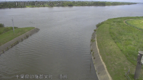 tonsu2026052912_image