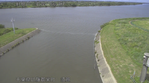 tonsu2026052914_image