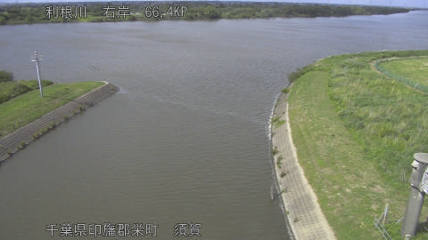 tonsu2026052915_image
