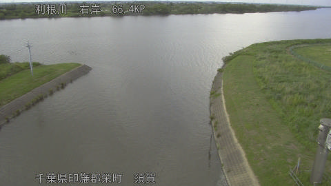 tonsu2026052917_image